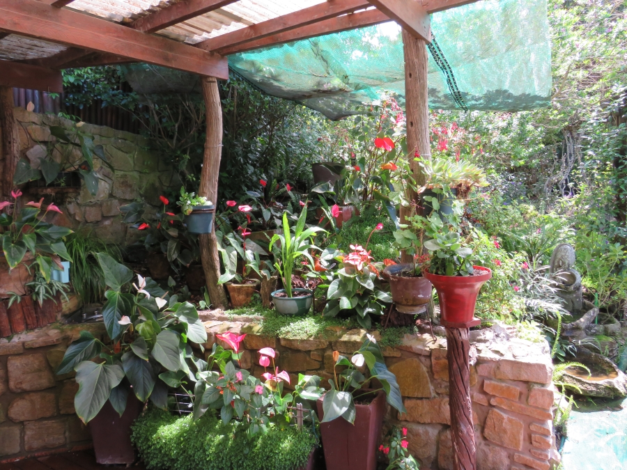 3 Bedroom Property for Sale in Begha Eastern Cape